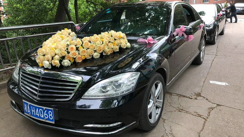 河南租車報價、廠家資源與二手車經銷市場概覽