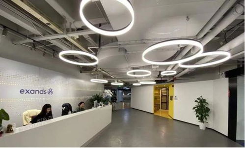 長寧三家企業榮登上海軟件外包服務立項名單，助力區域數字經濟發展