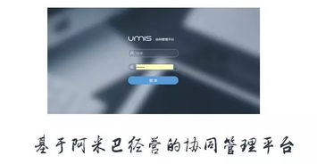 上?；ヂ摼W軟件集團 高端協同管理軟件與咨詢服務領軍者